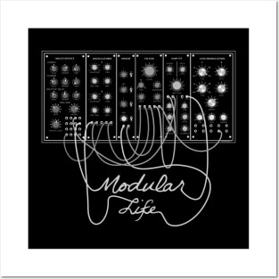 Modular Synthesizer Player Posters and Art